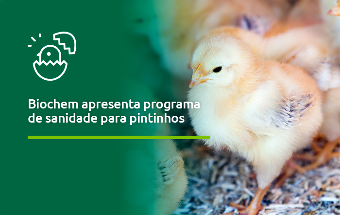 Biochem lança programa de saúde intestinal de aves