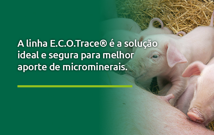 A linha E.C.O.Trace® é a solução ideal e segura para melhor aporte de microminerais.
