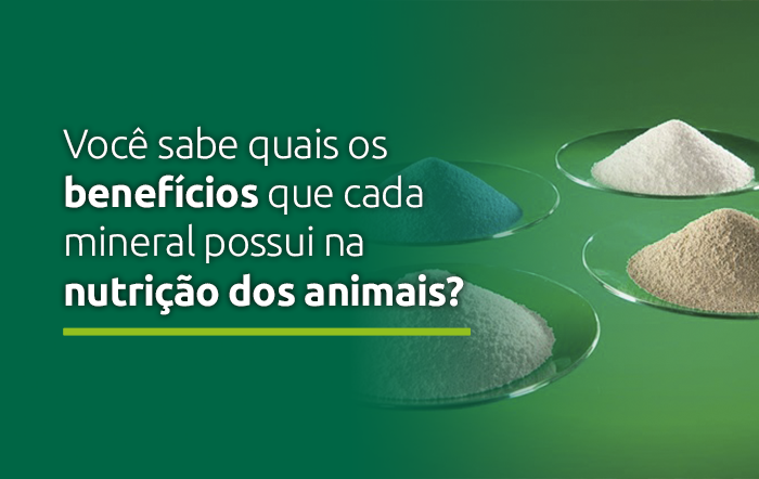 Você sabe quais os benefícios que cada mineral possui na nutrição dos animais?